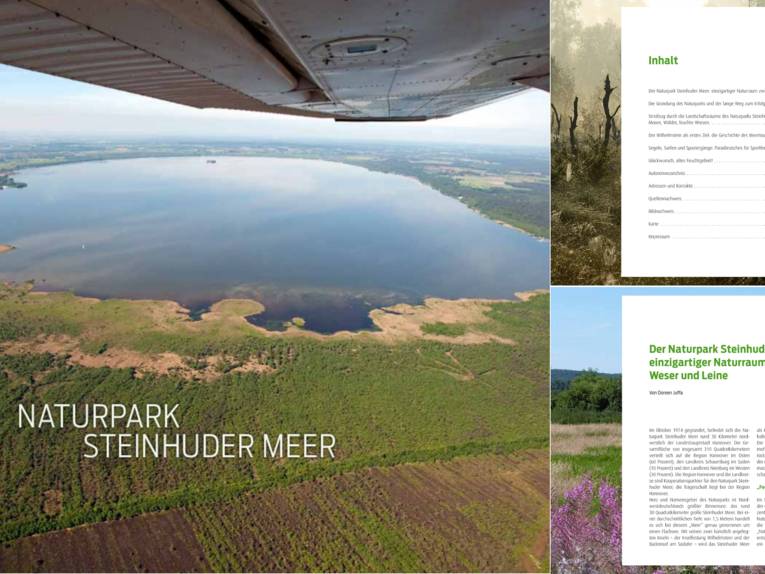 Vorschau auf das Buch "40 Jahre Naturpark Steinhuder Meer"